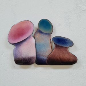The Pink and the Blue