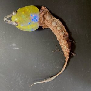 Salamander-like
